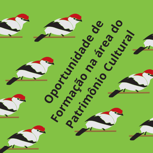 Oportunidades de Formação na área do Patrimônio Cultural