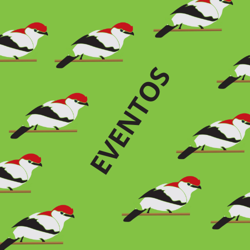 Eventos
