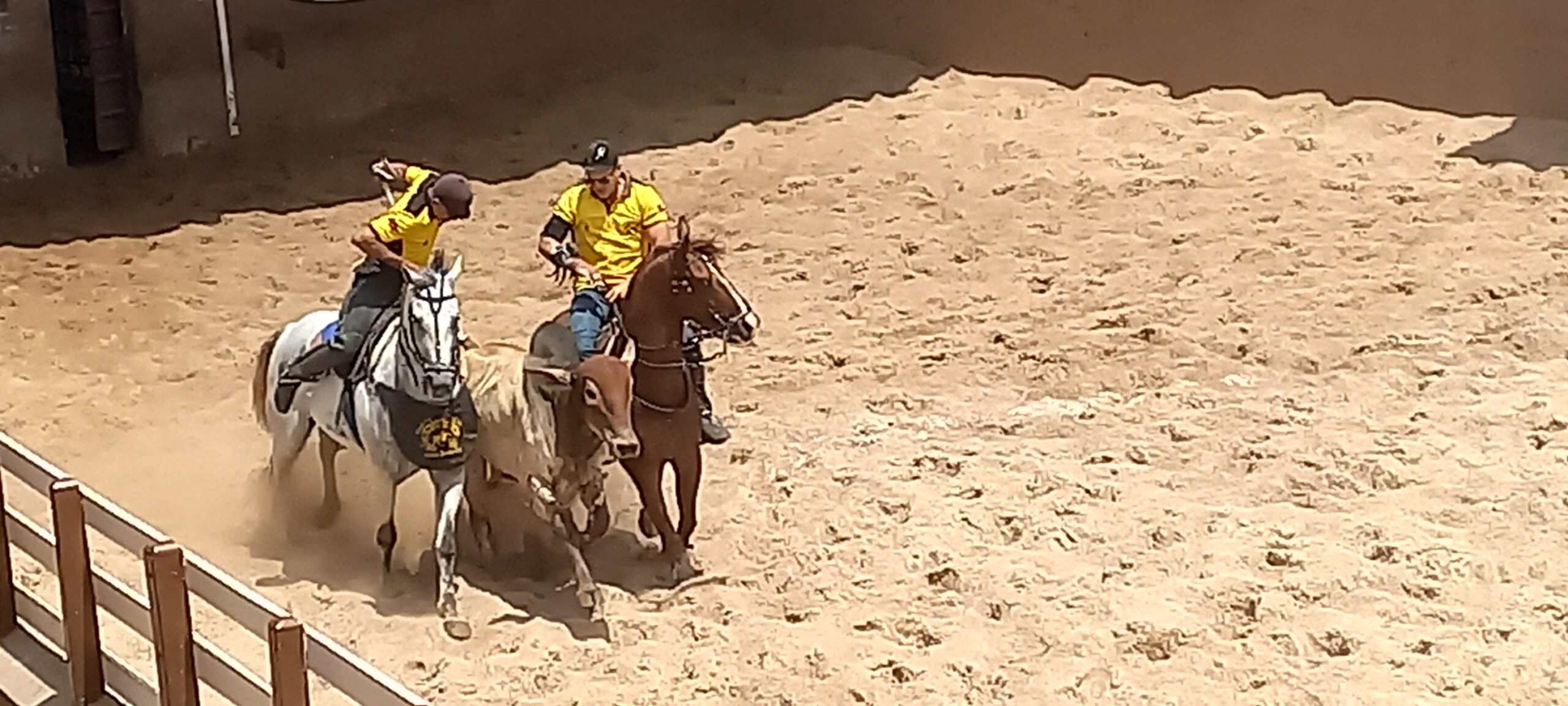 Vaquejada e Pega de Boi