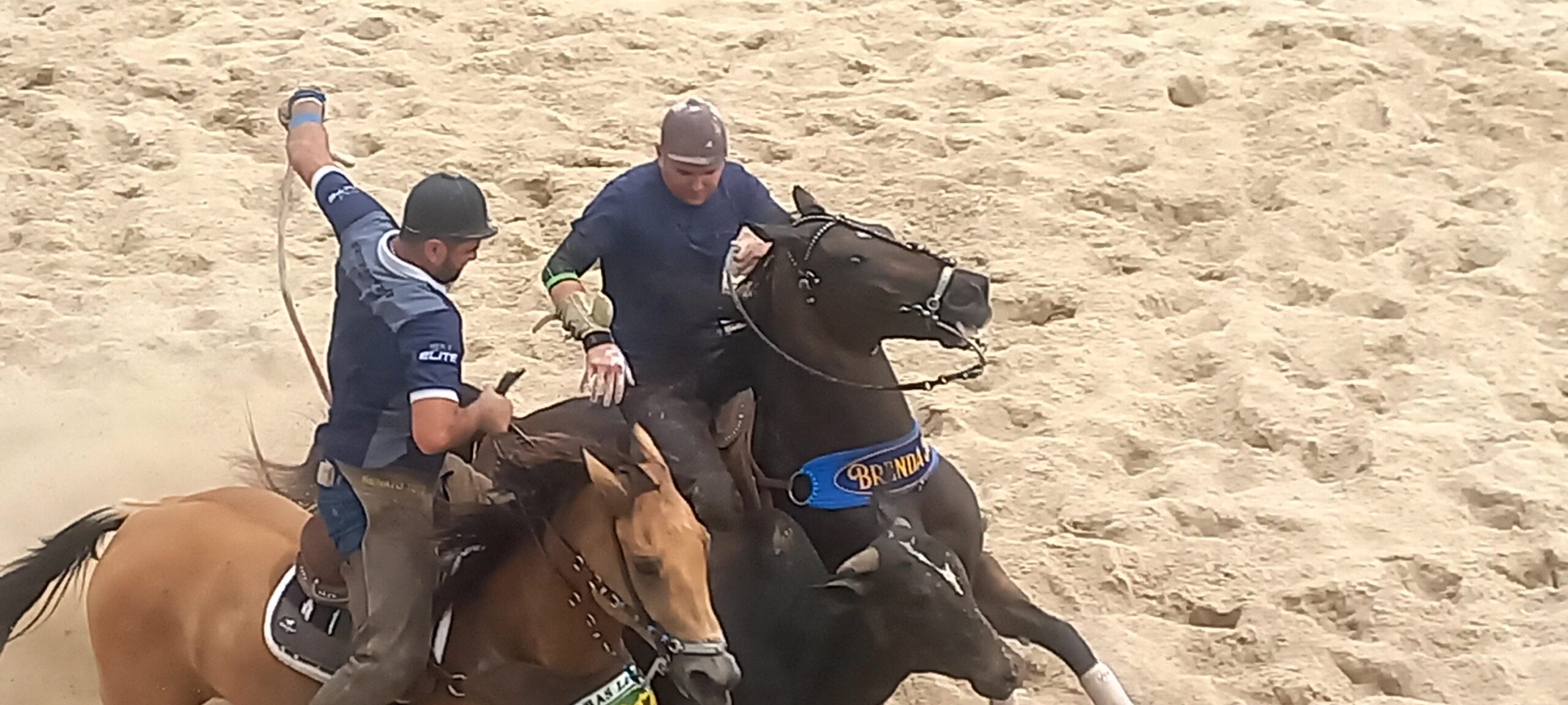 Vaquejada, Cavalgada e Pega de Boi