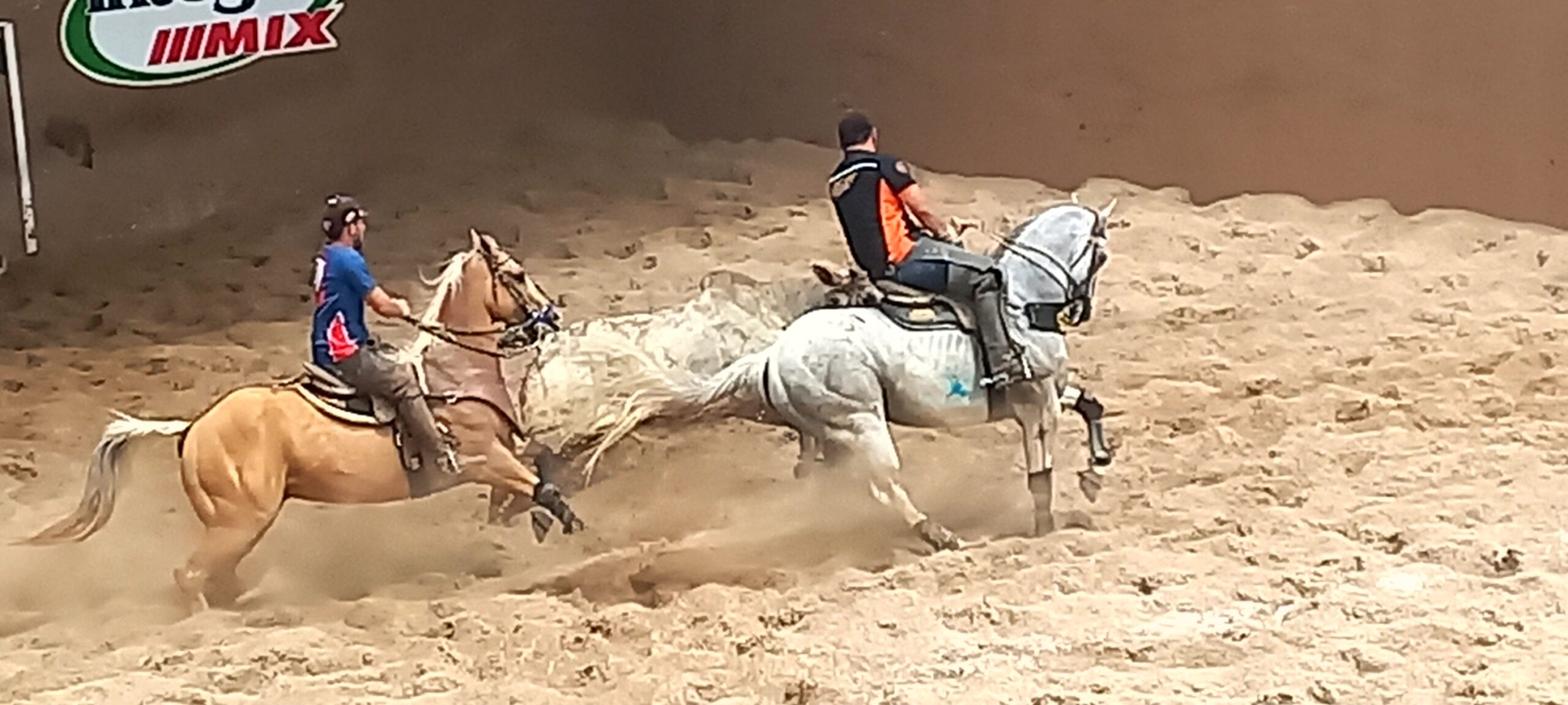 Vaquejada, cavalgada e a pega de boi