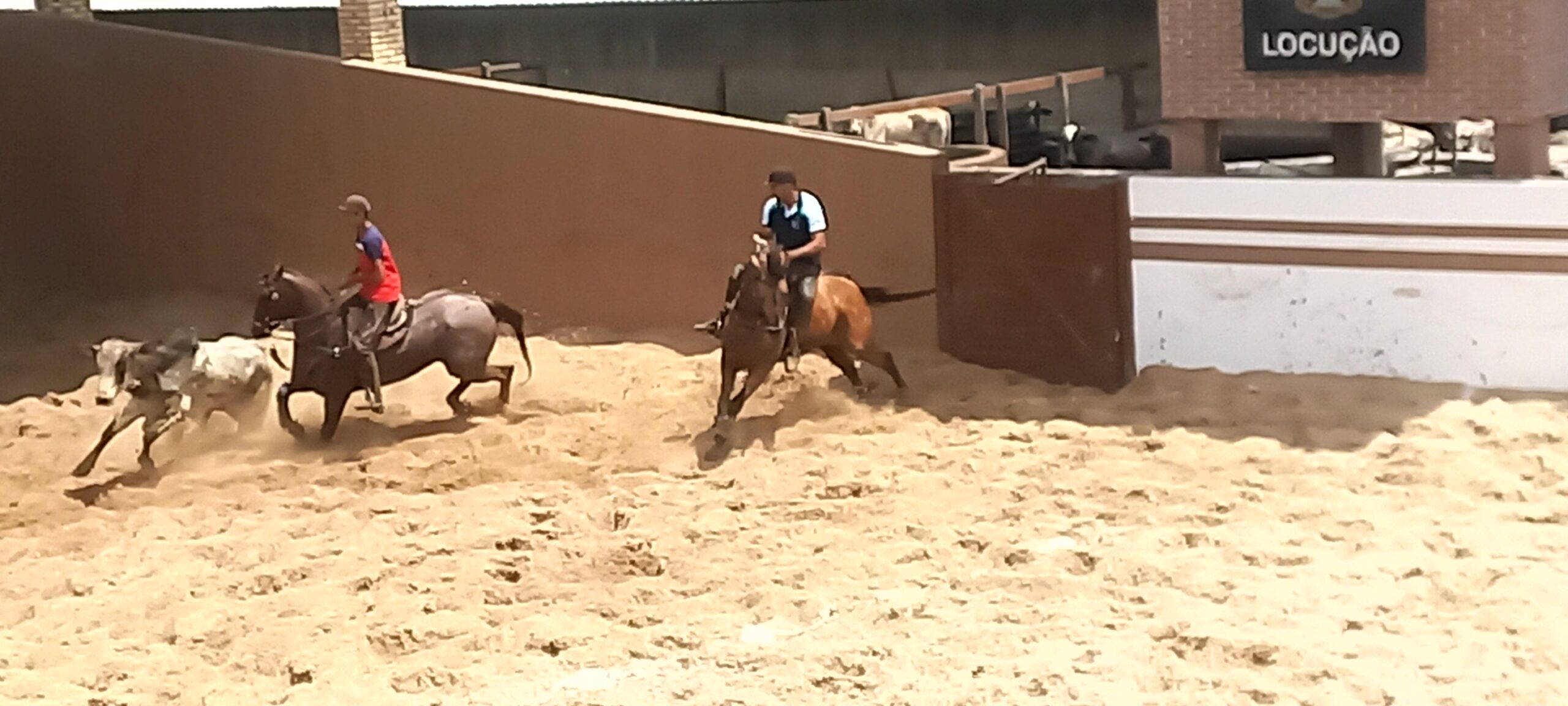 Vaquejada e expressões decorrentes