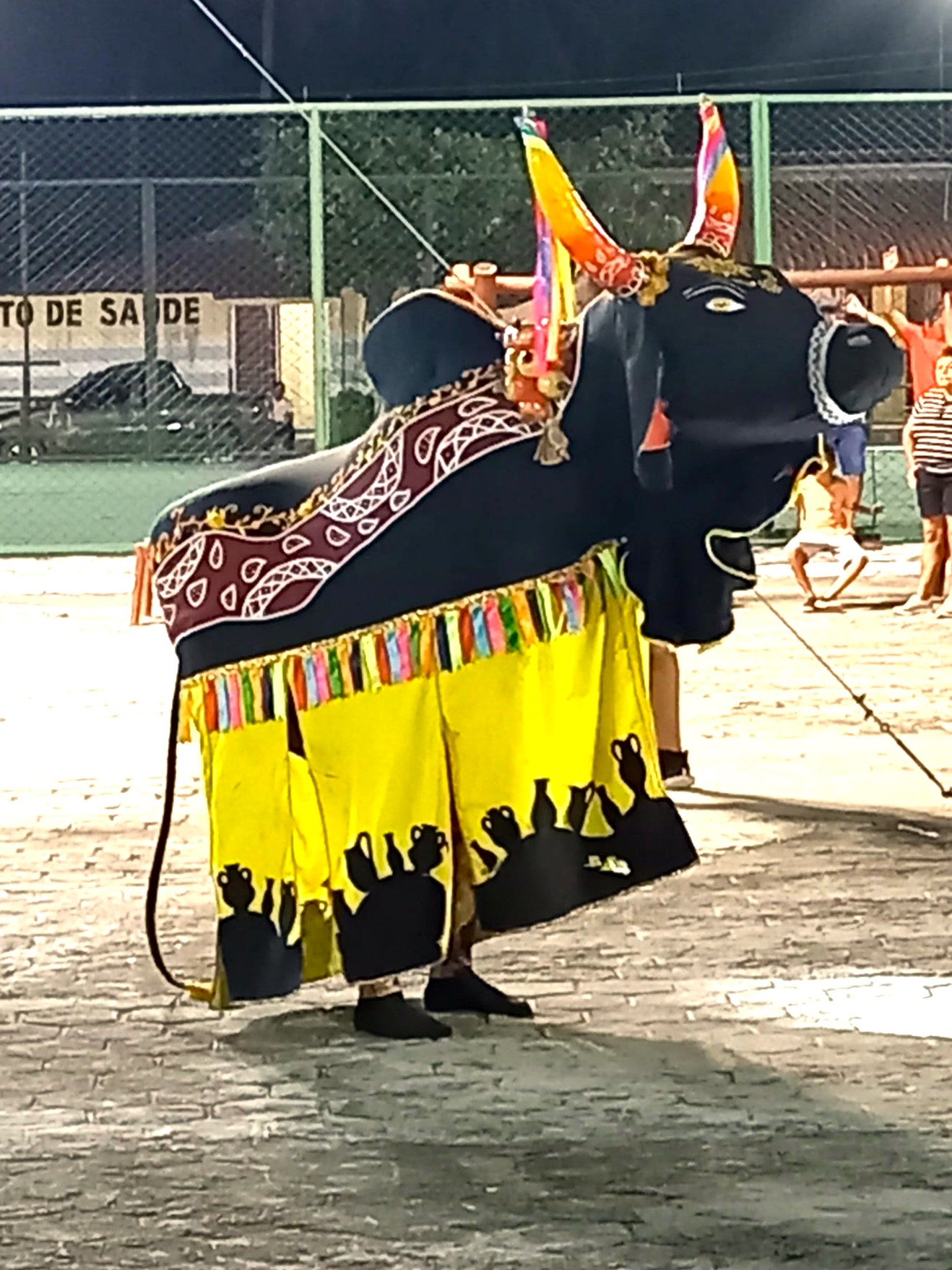 Encontro de Bois e Reisados de Sobral