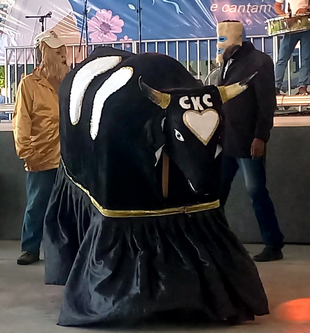 Bumba meu Boi