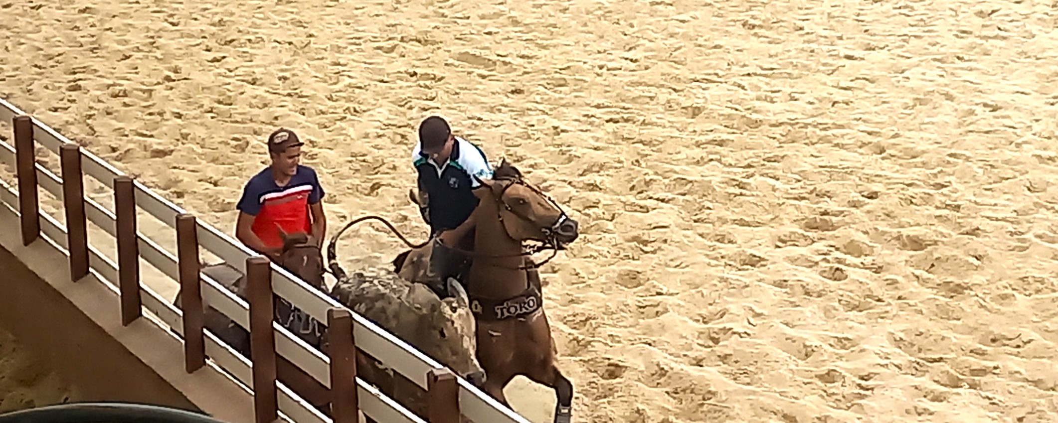 Vaquejada e cavalgada